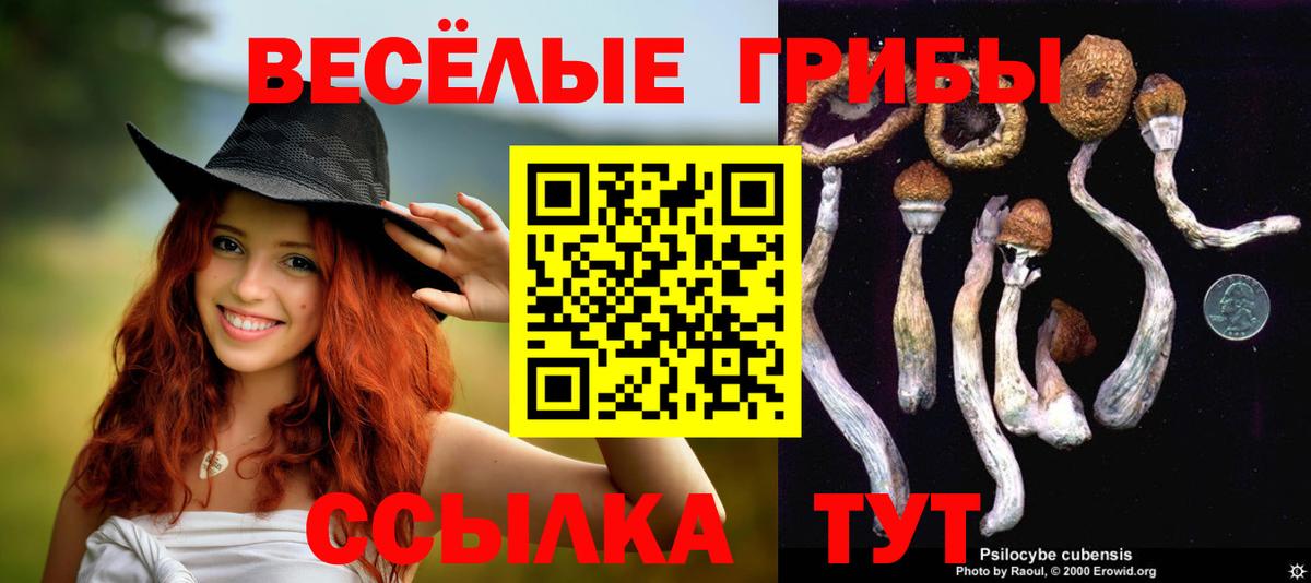 Псилоцибиновые грибы MAGIC MUSHROOMS Ухта